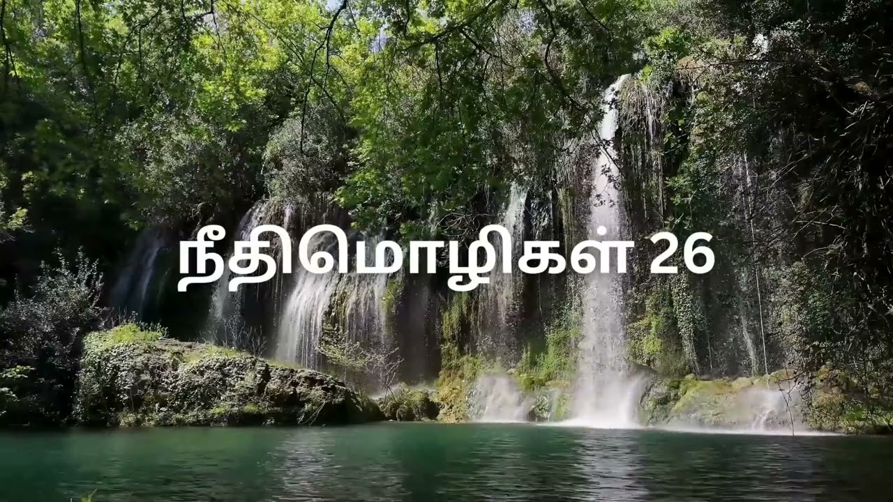Proverbs - Chapter 26 (Tamil Audio Bible)