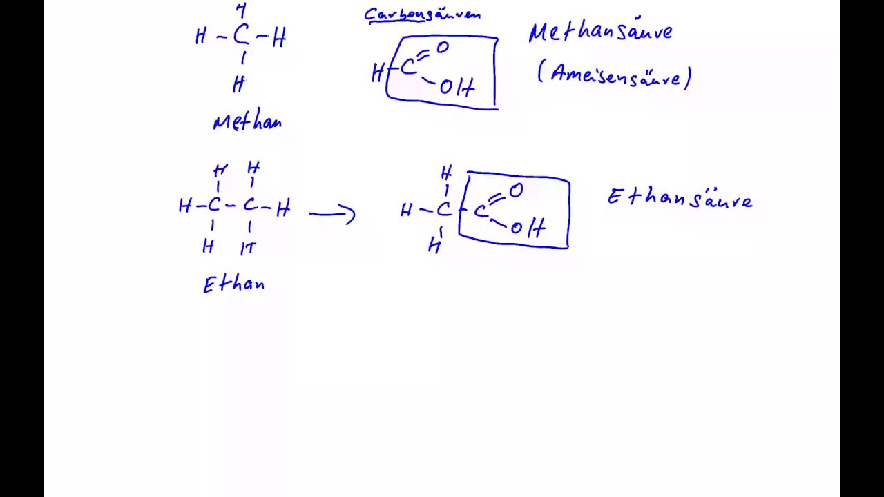 Alkohol, Ester und Carbonsäuren - Eine Zusammenfassung