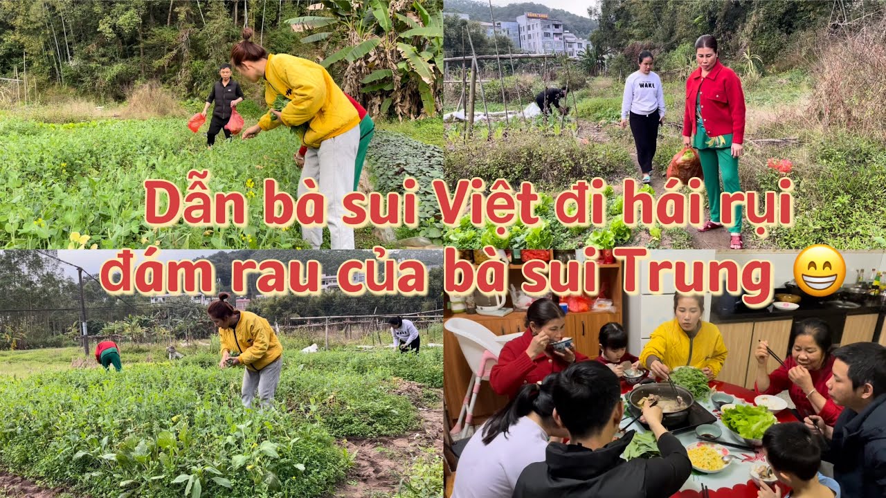 Ba chồng MẦN GÀ LÀM LẨU để NGÀY MAI EM CHỒNG ĐI Thẩm Quyến .Cuộc sống Trung Quốc