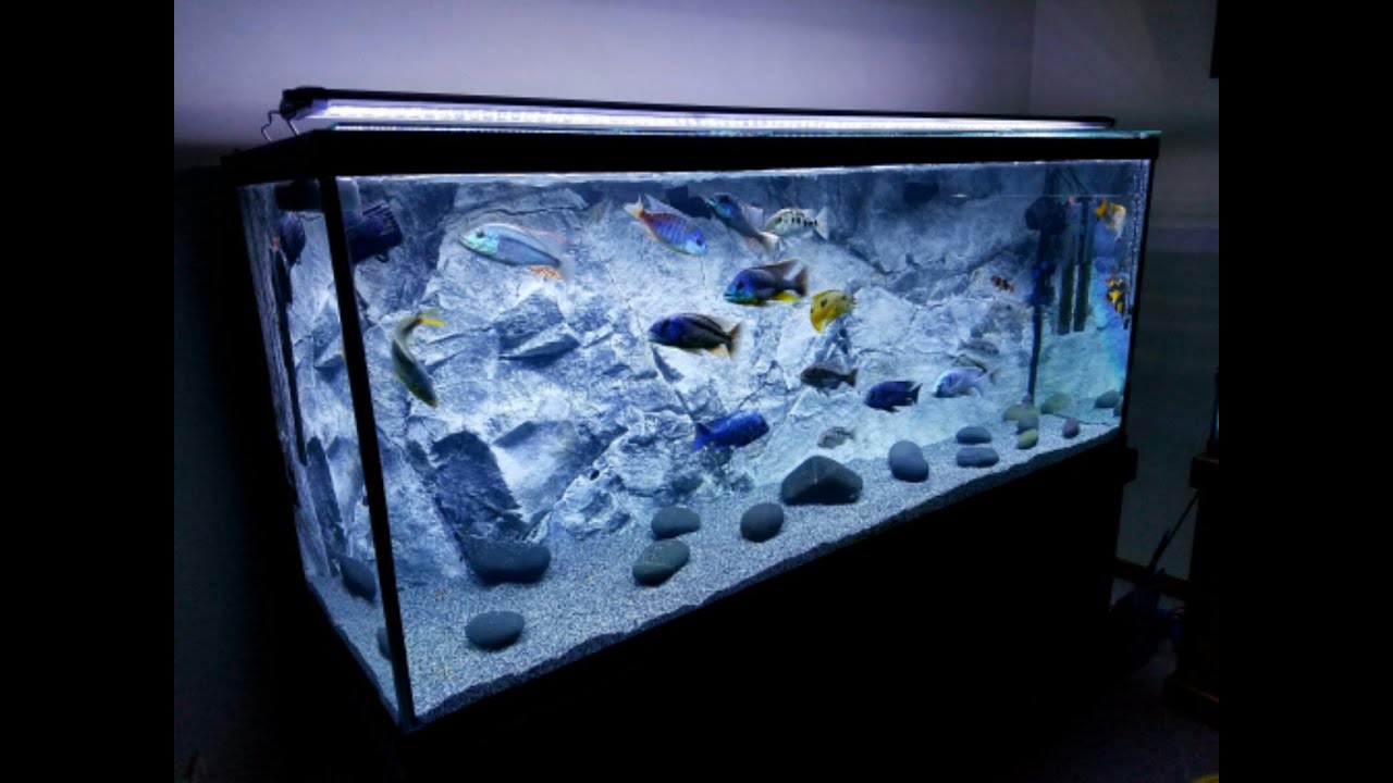 Aqua Decor 3D Aquarium Background Slim Model