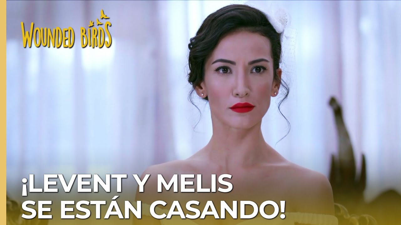 ¡Levent y Melis se están casando! | Omer Sueños Robados Capítulo 194