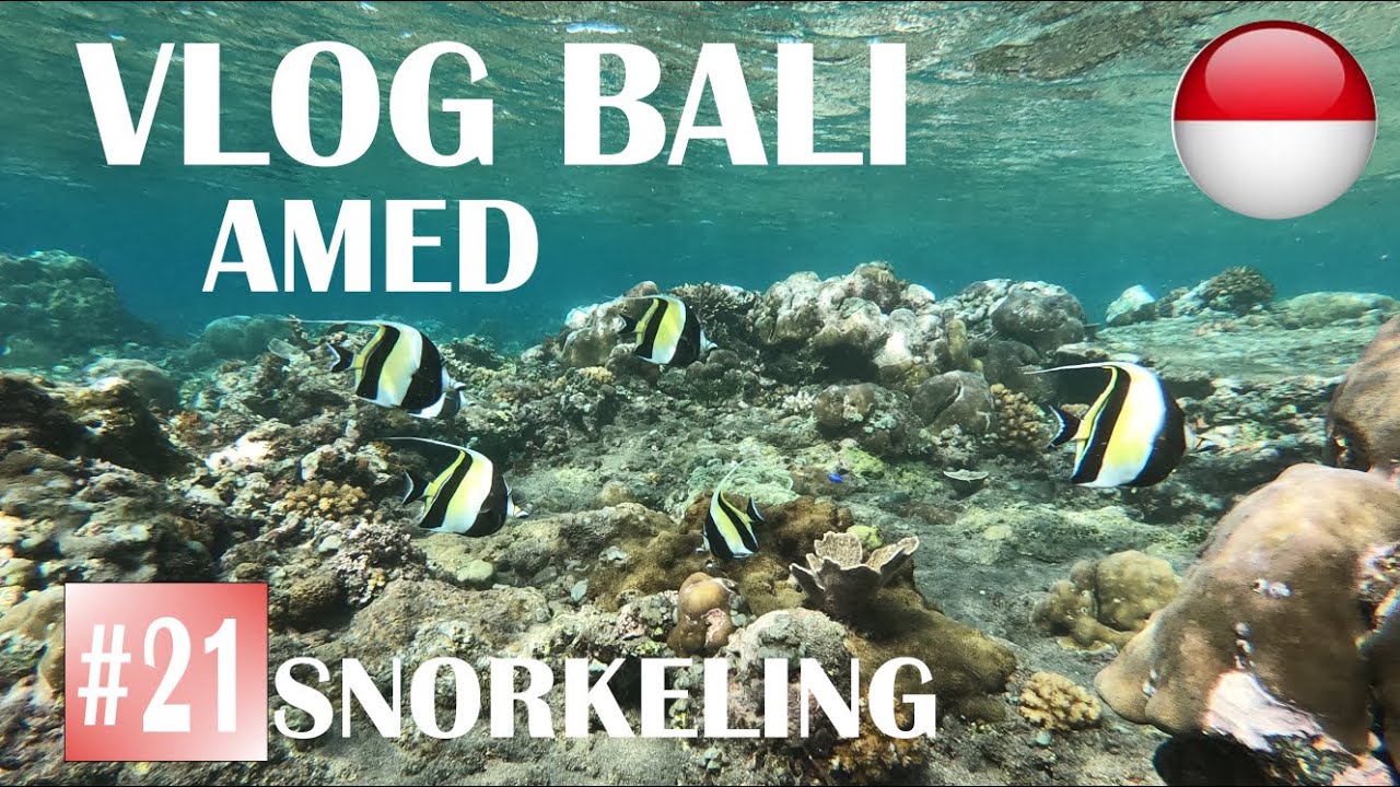 Vlog Bali 2021: Amed, blue moon villa, premier snorkeling à Vienna Beach, Sunset et café galanga!