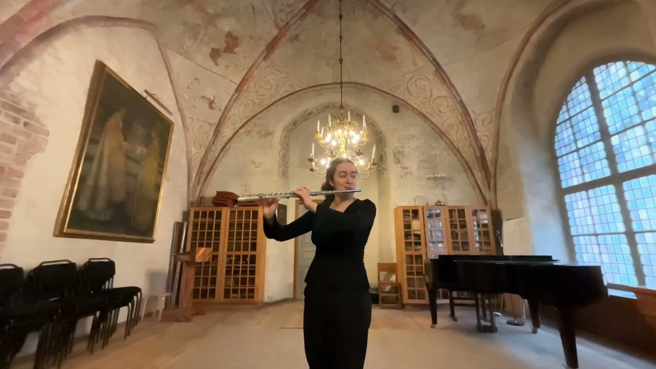 G.P. Telemann - Fantasia No.8 in E minor - Zeynep Cengiz
