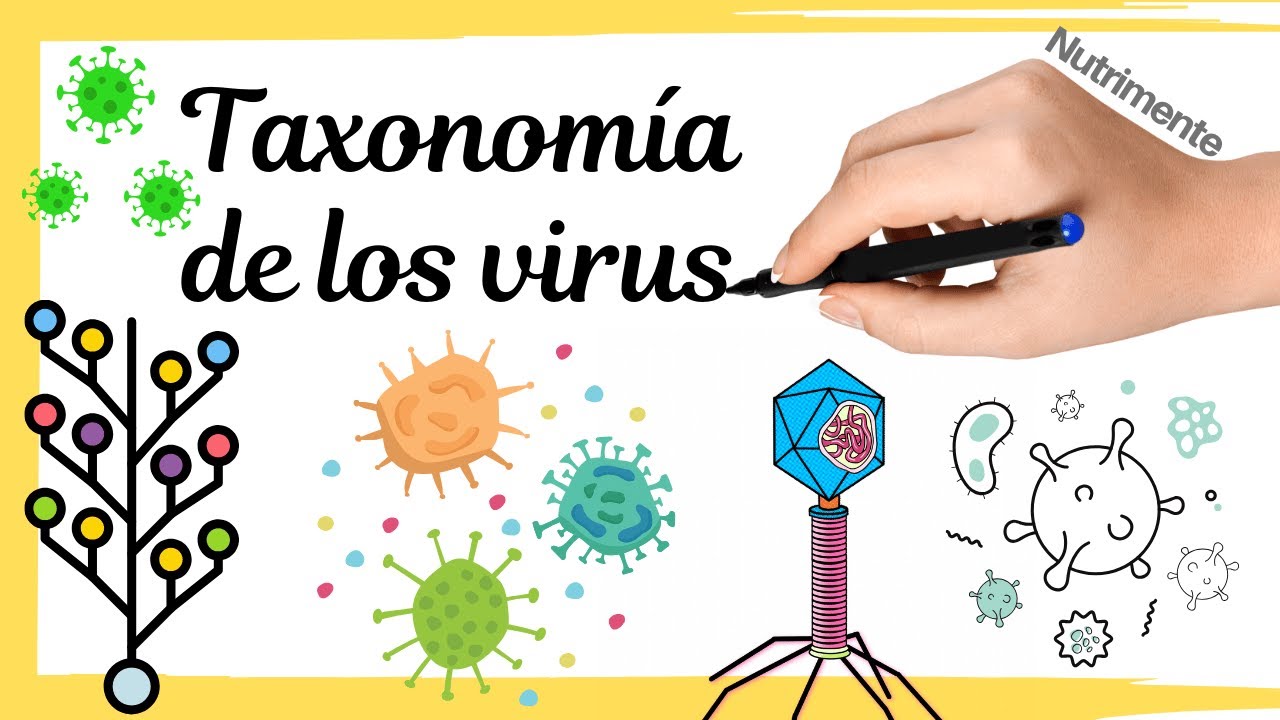 Taxonomía de los Virus | Clasificación y nomenclatura actual de los virus según el ICTV