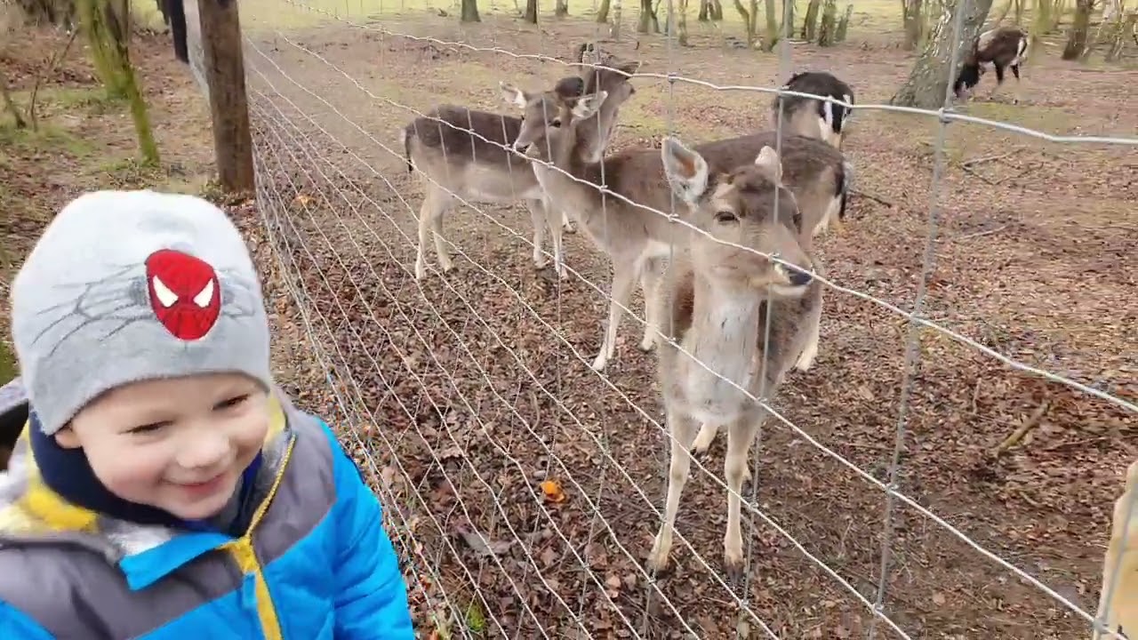 VLOG Заповідник в Осса Рава Мазовецька Польща 2023