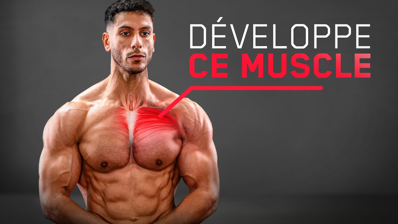 Comment développer (enfin) le HAUT des PECTORAUX