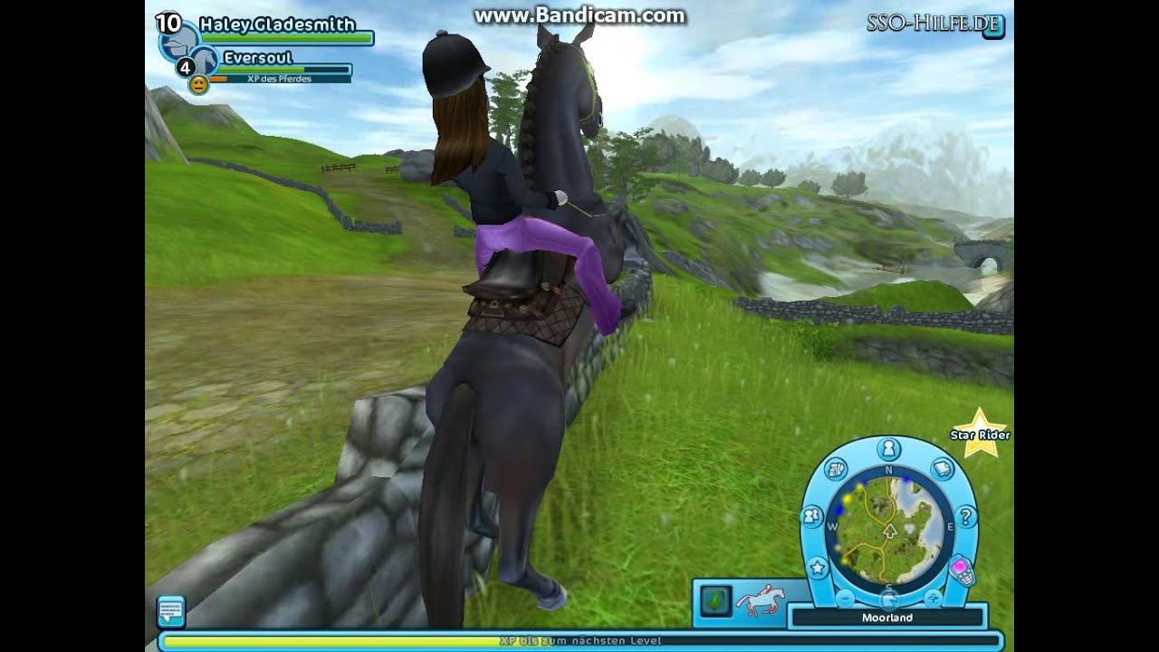 [Star Stable Quest Nr. 266] Tag 14 - Der dritte Hinweis.