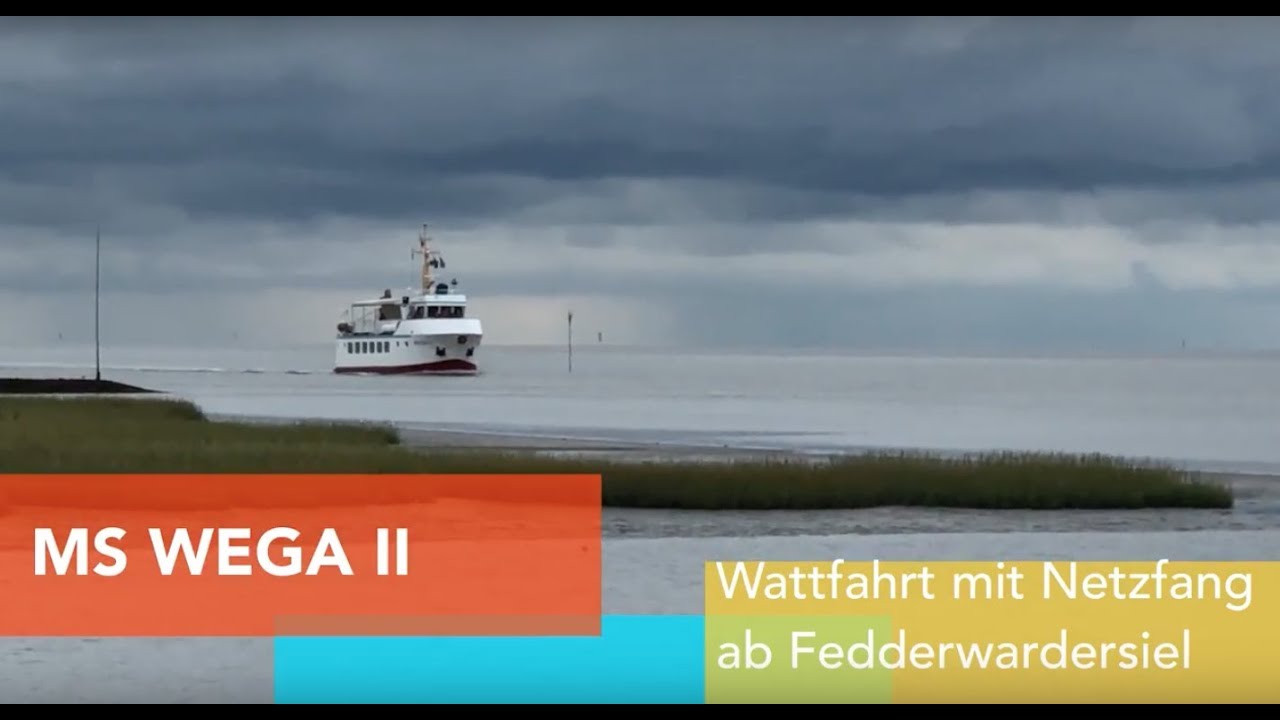Wattfahrt mit Netzfang ab Fedderwardersiel mit der MS WEGA II