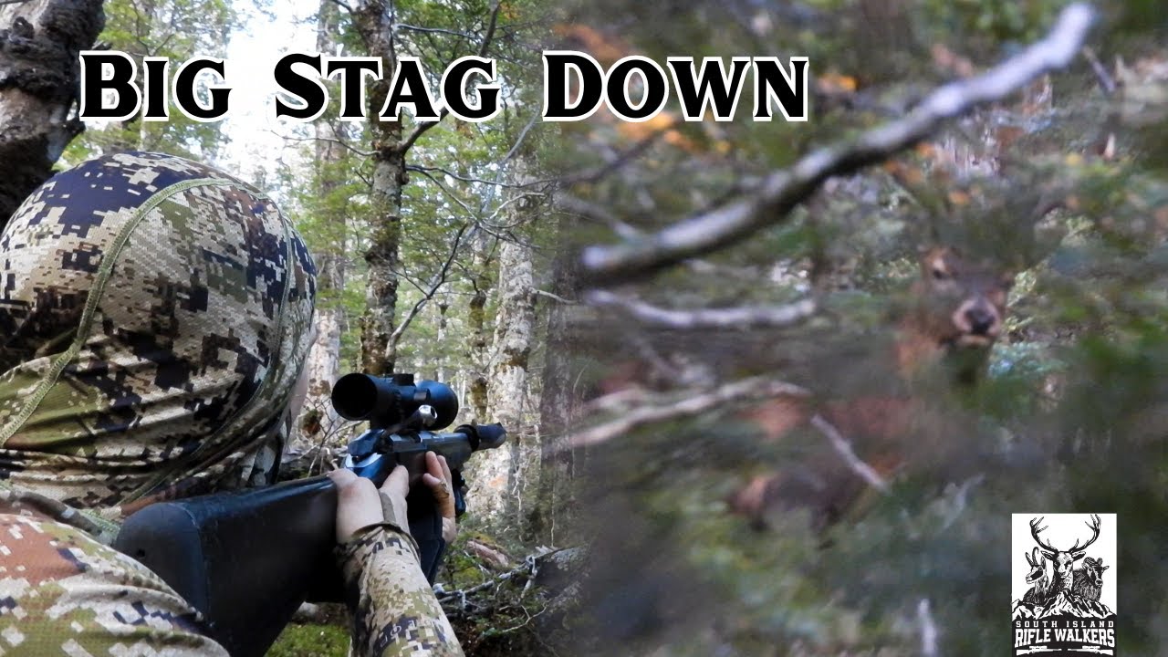 Hunting PEAK RUT | Getting in Close to Roaring Red Stags on a 5-Day New Zealand Valley Hunt