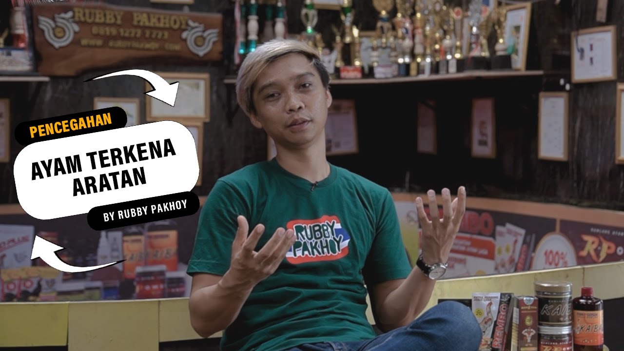 PENCEGAHAN AYAM TERKENA ARATAN / PENYAKIT MEWABAH PADA AYAM HOBY