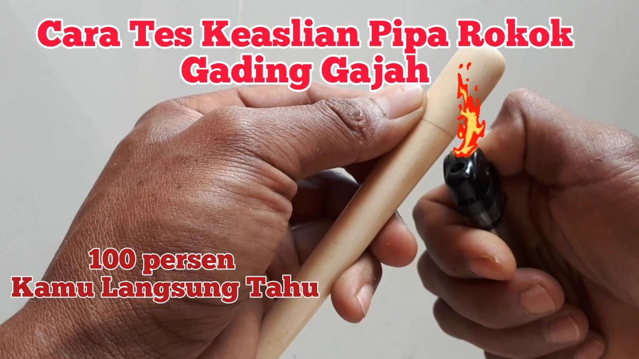 JANGAN NGAKU PIPA ROKOKMU GADING ASLI KALAU BELUM DI TES SEPERTI INI....