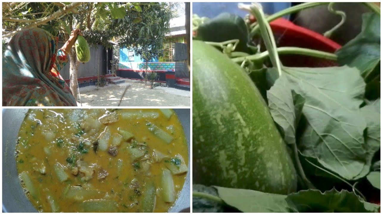 🌿🌿গাছের লাউ আর শাক দিয়ে সেহরির প্রথম রান্না।🌿🌿@faridakitchenwithvlog#foryou. 