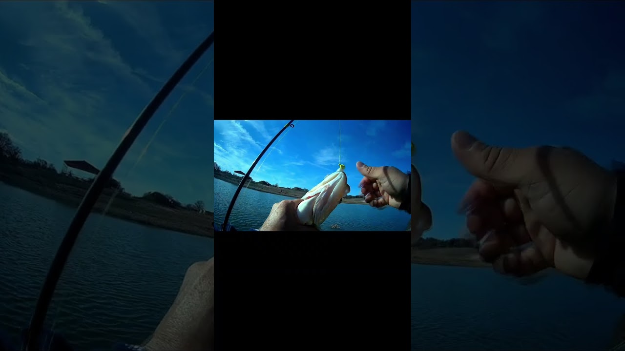 @YarbrosOutdoors catching some big large mouth bass in the hill county. 