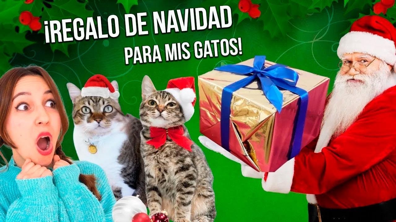 ¡Mis gatos no pueden creer este regalo sorpresa! Fuente inteligente Petgugu