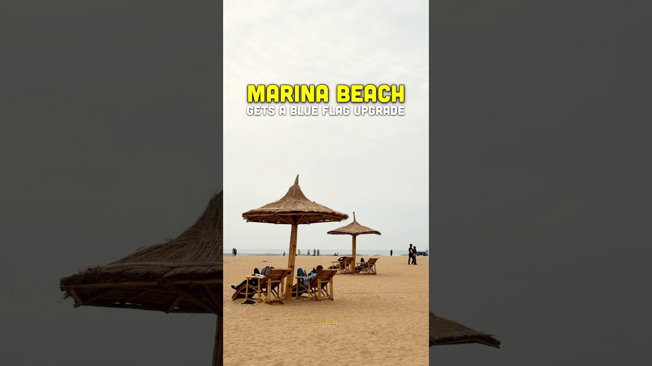 CHENNAI&rsquo;S MARINA BEACH GETS A BLUE FLAG UPGRADE 🌊💙 #Chennai #MarinaBeach #BlueFlagBeach #Beach