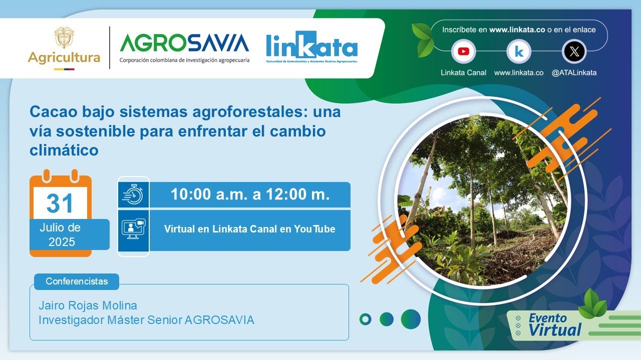 Cacao bajo sistemas agroforestales : una vía sostenible para enfrentar el cambio climático