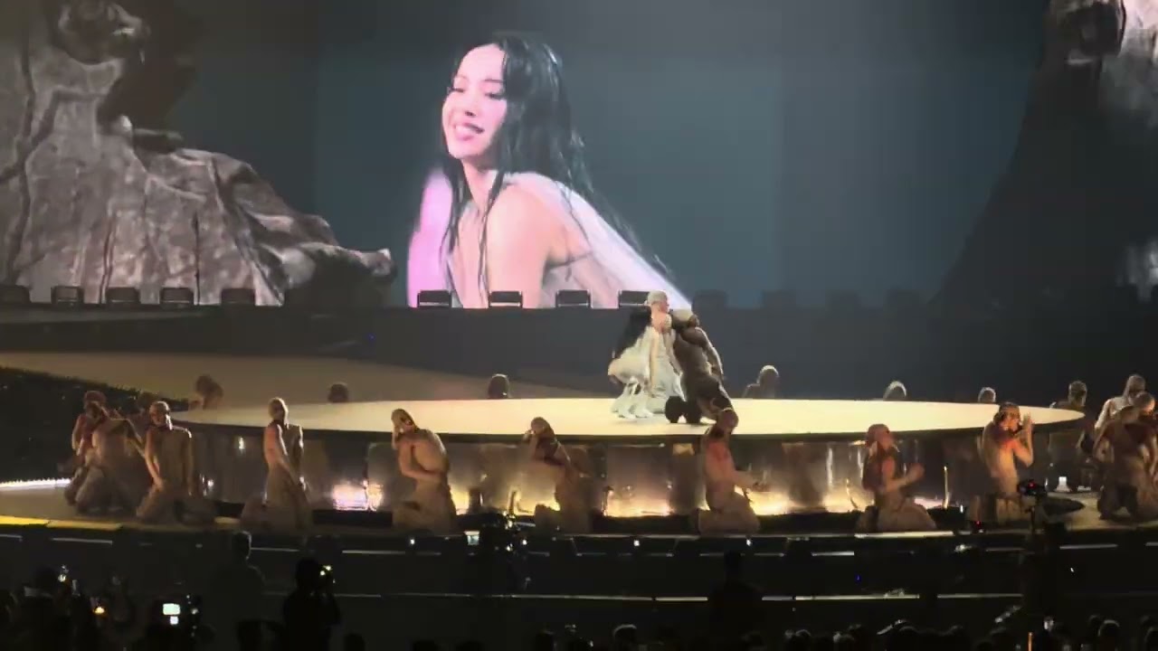 DIY /蔡依林 ／Jolin蔡依林Pleasure世界巡迴演唱會 ／台北大巨蛋