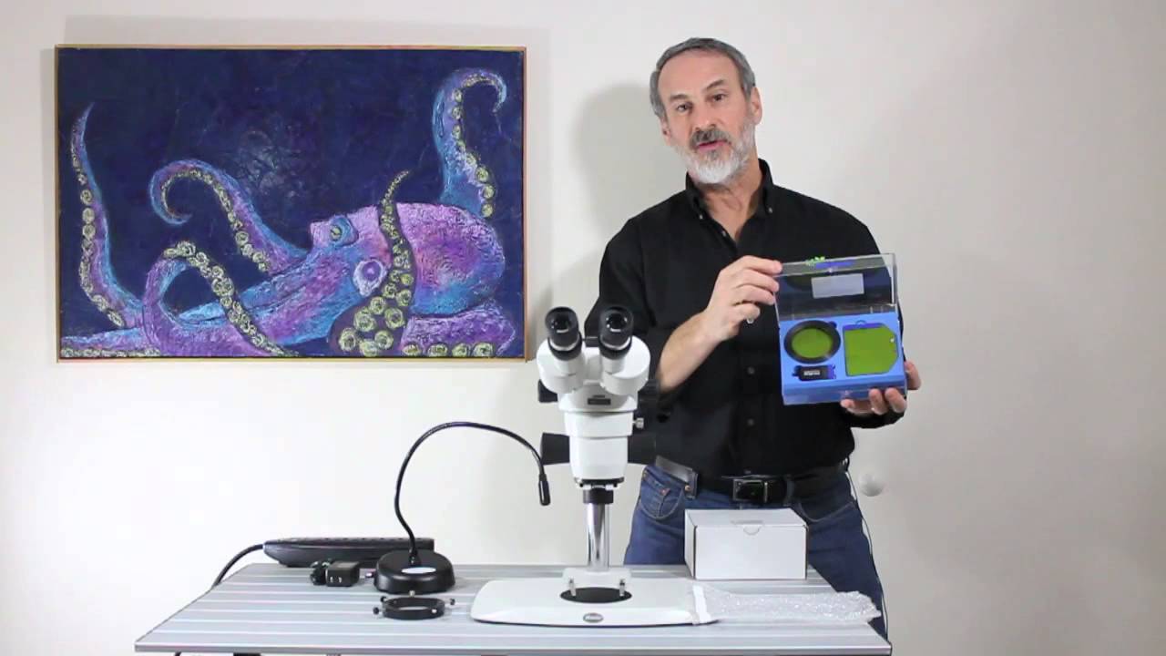 Adding fluorescence to a conventional stereo microscope