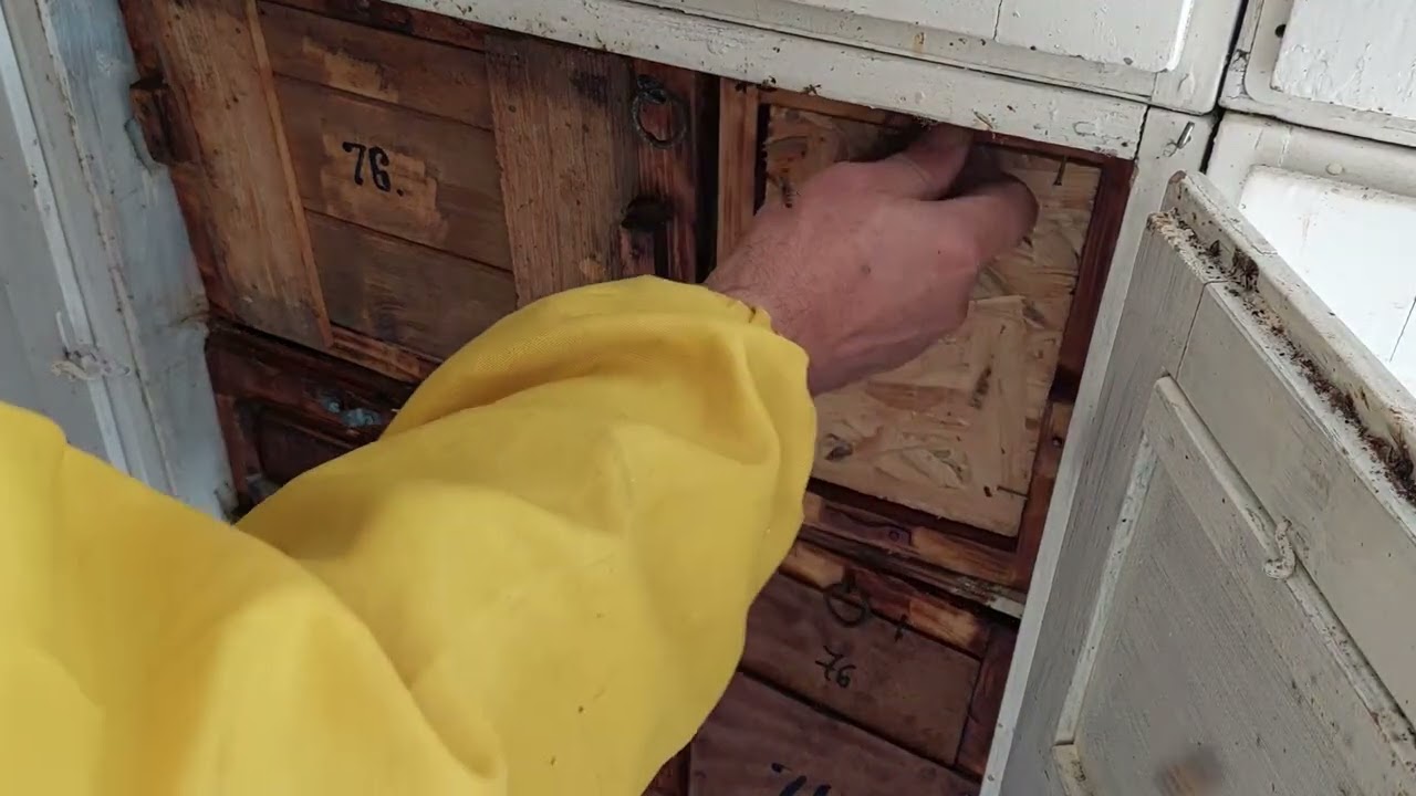 Cum arată stupii după furtișag