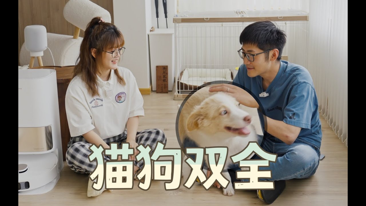 我们猫狗双全啦 ｜ 一日两餐 &middot; 追觅S10Pro体验 ｜ 家务分配安排 &middot; 不一样的DailyVlog