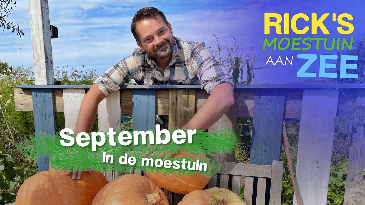 September in de moestuin: mais, pompoen, spruiten | Alles Wat Bloeit | Rick's Moestuin aan Zee