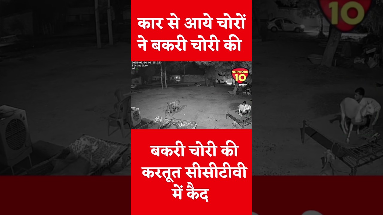 चोरी करने आते हज कार से बकरी की चोरी । #news #chori #bakri #car