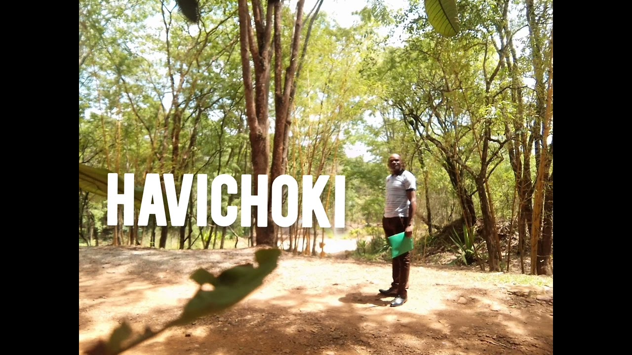HAVICHOKI (audio officielle)