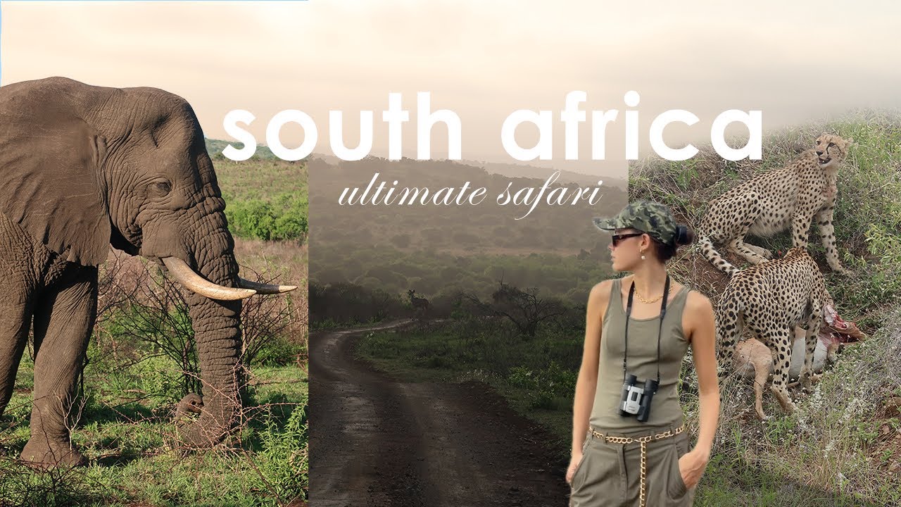 South Africa safari diaries | Phinda game reserve | ULTIMATE african conservation experience