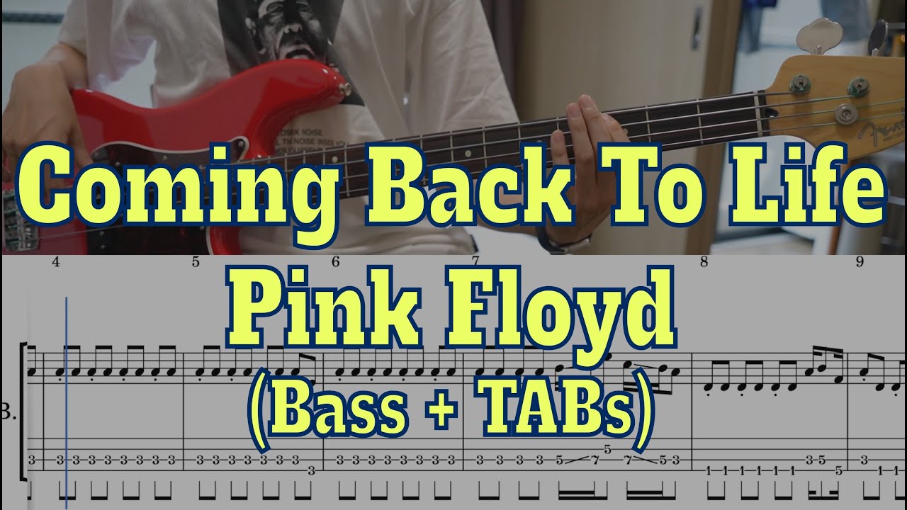 Pink Floyd - Coming Back To Life(Bass cover + Tabs)