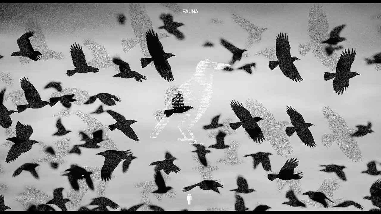 metabiite & Raphael Milano :: Crystal Crows