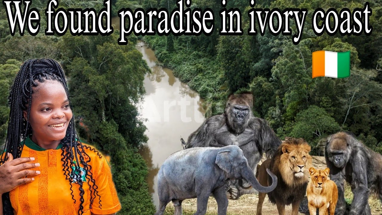 Largest wildlife paradise in la Cote D'Ivoire west Africa . Explore the hidden treasures of Abidjan.