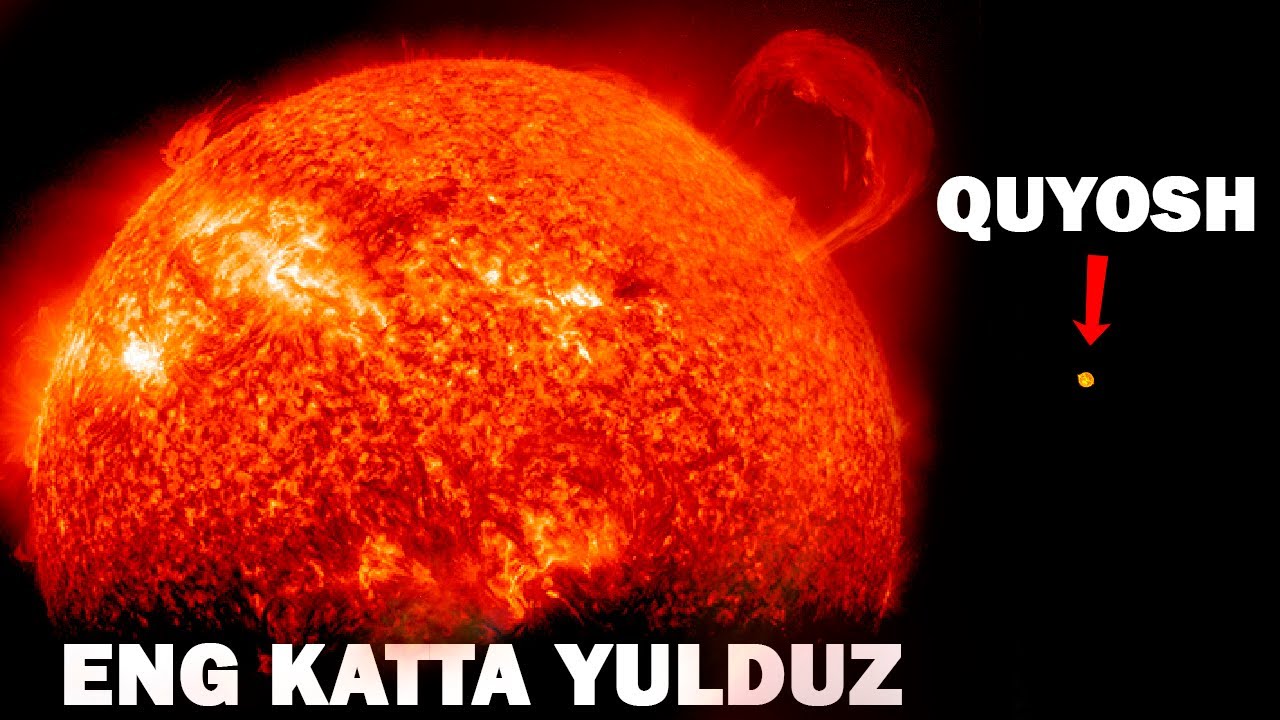 INSONIYATGA MA'LUM ENG KATTA YULDUZ