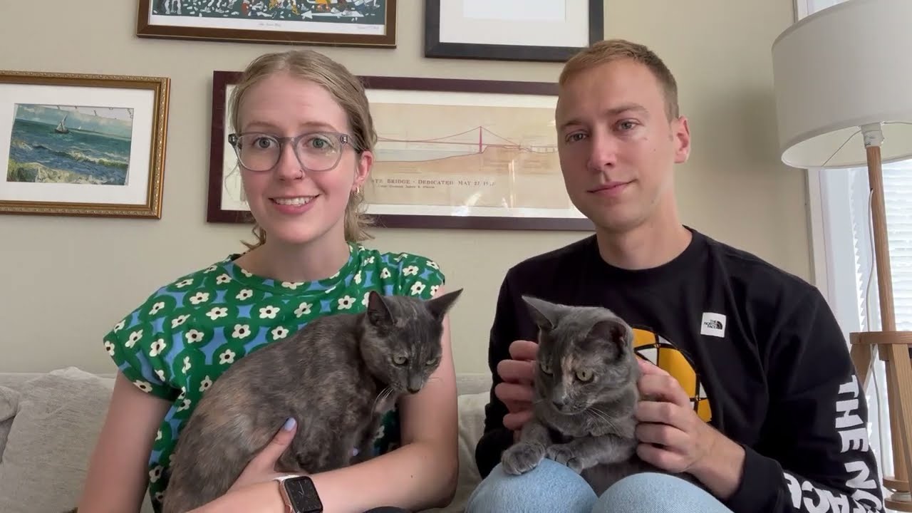 Paul K. Video Review of The Comforted Kitty Cat Sitting