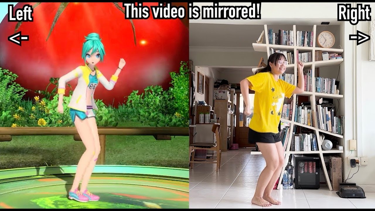 PoPiPo Dance Mirror Reference [SIDE BY SIDE]