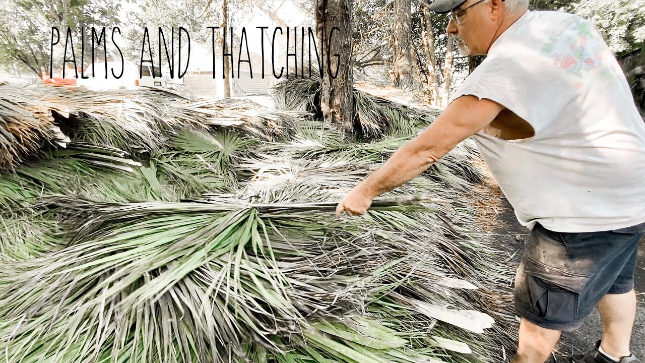 Palms and Thatching