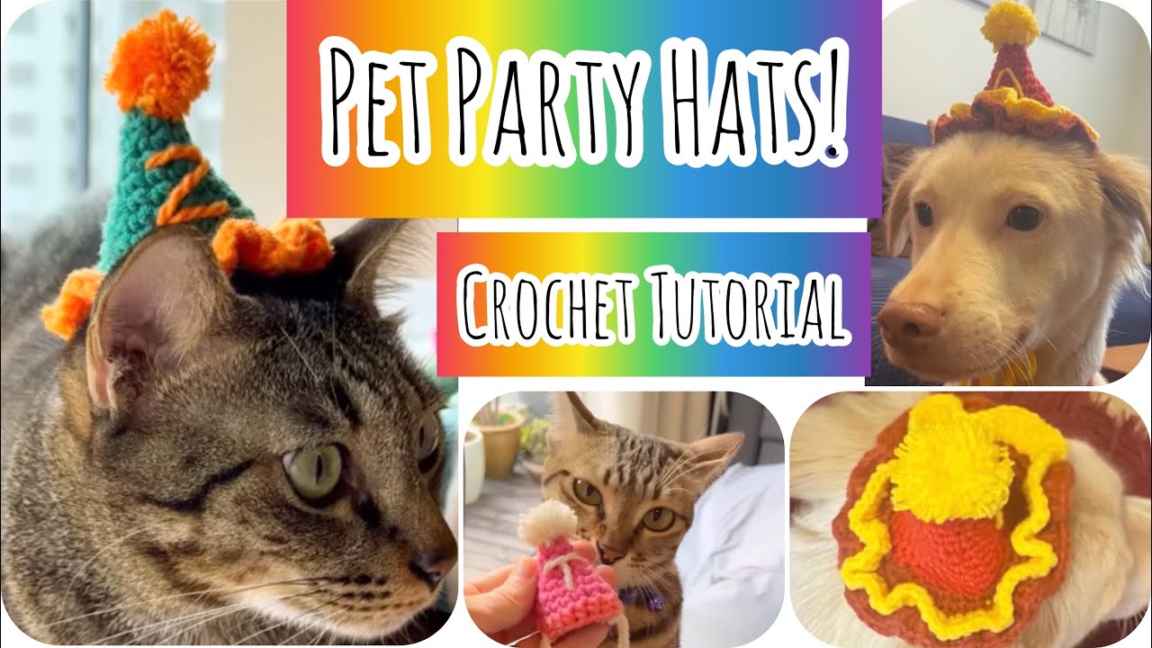 Crochet Party Hats for your Pets! | Easy Tutorial 3 Designs | Scrap Yarn Project for cats and dogs!