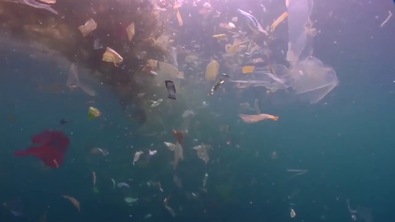 Margherita Pirri - Sinner ( lyrics video)