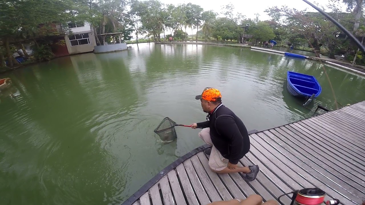 Artemis X Ultra Light Rod Field Test First Catch