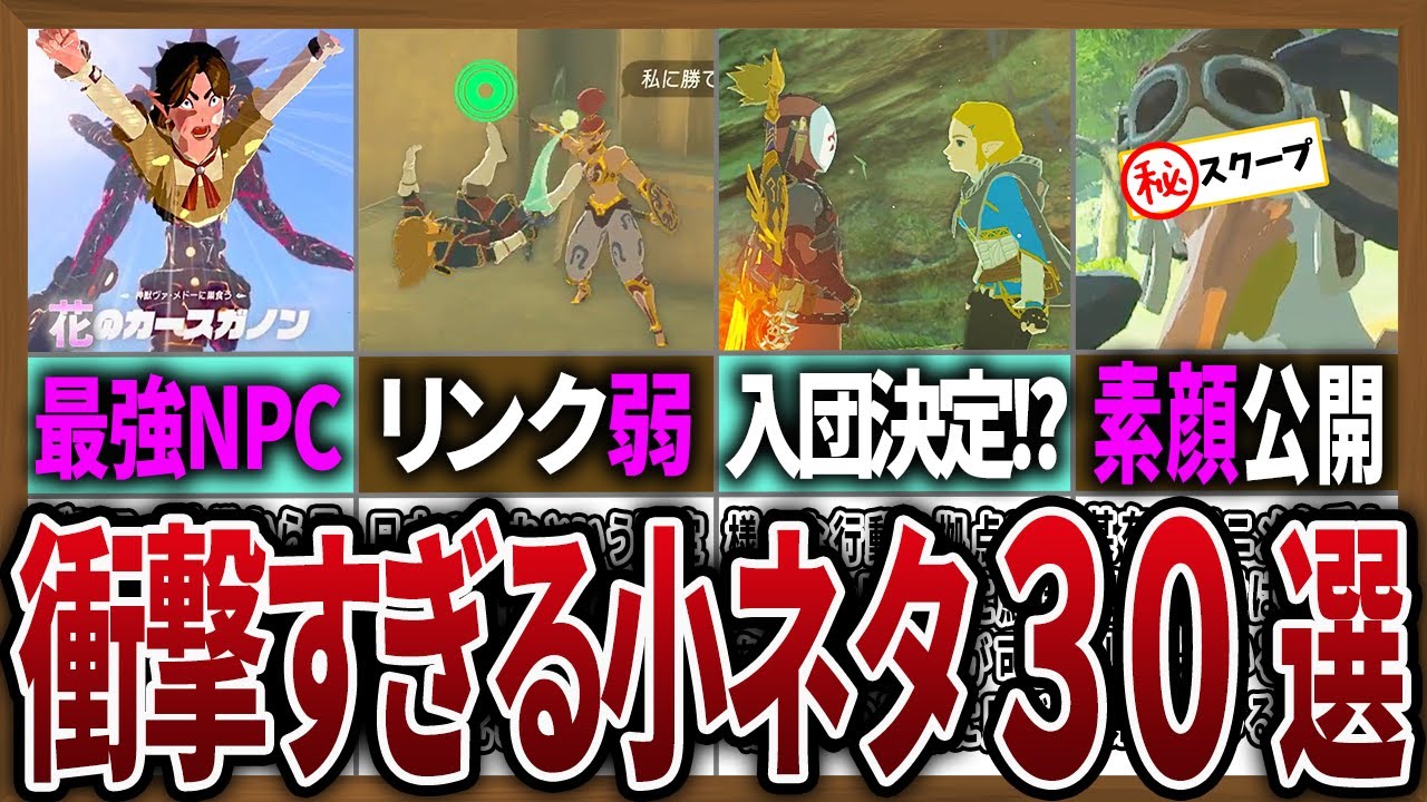 【小ネタ】ティアキンに隠された衝撃的な小ネタ30連発【ゼルダの伝説ティアーズオブザキングダム】