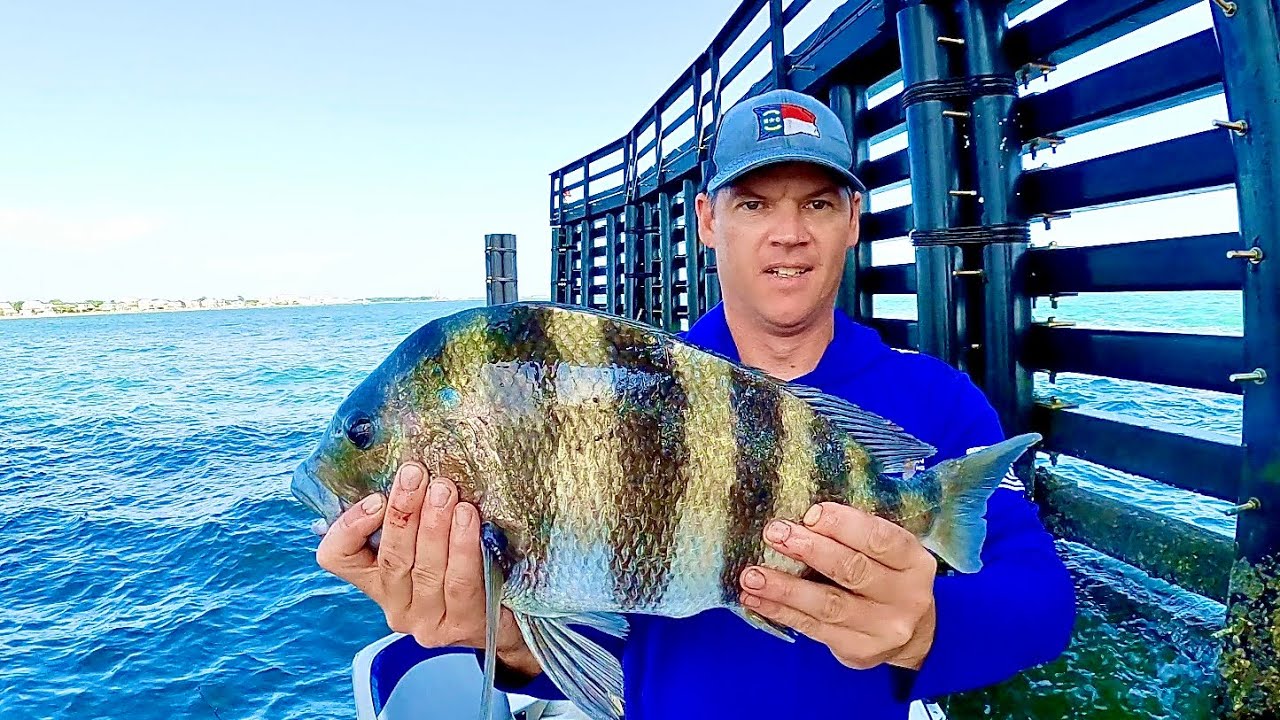 MAKE THE TRIP : Sheepshead Mid-Summer