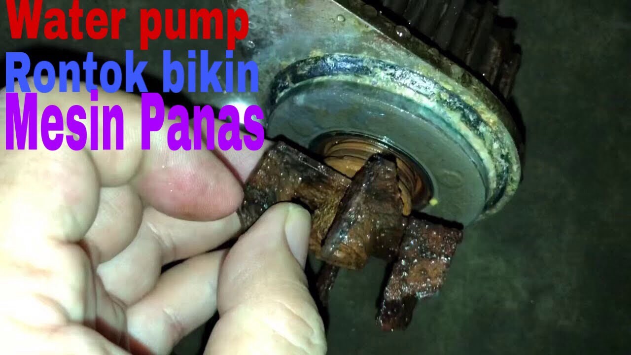 Ini penyebab Mesin Mobil panas - water pump PEUGEOT 206 rusak