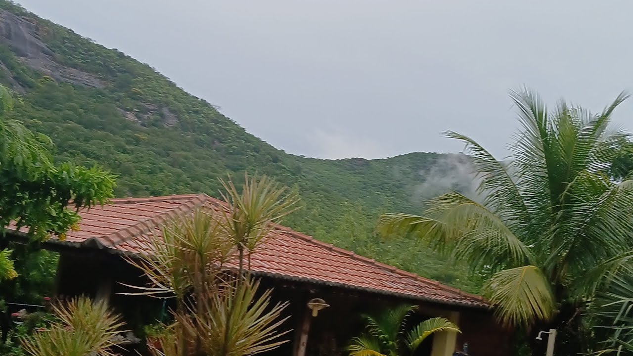 A alegria da roça  é  a chuva #vidanaroça # recanto do sonho  gbi Bahia 