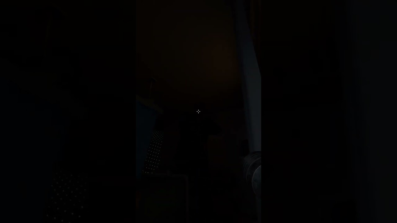 Phasmophobia is so fun 