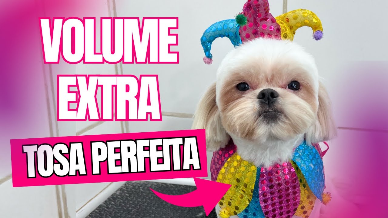 BANHO E TOSA COM EXTRA VOLUME - LIVE
