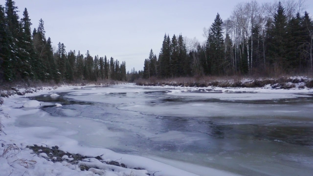Calm Winter River Water Sounds - 5 Minutes of Peace in Nature 🌊