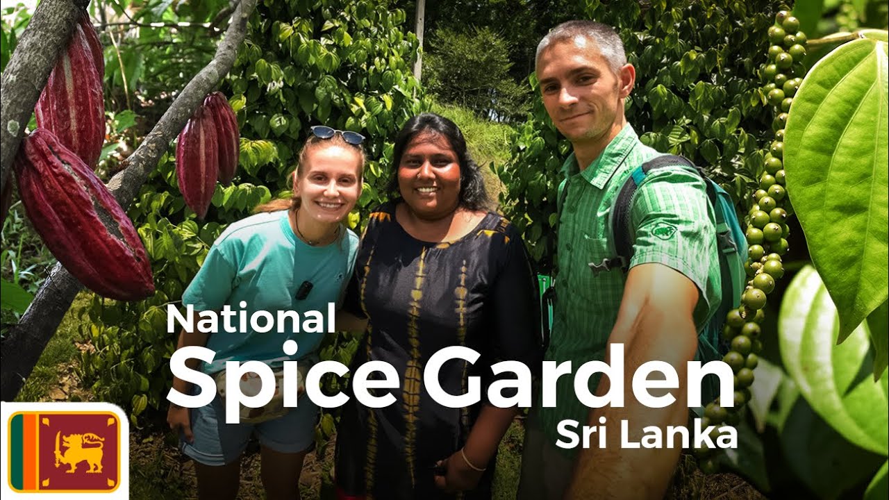 16 🇱🇰 Experienta inedita in Gradina Nationala de MIRODENII - Matale, Sri Lanka