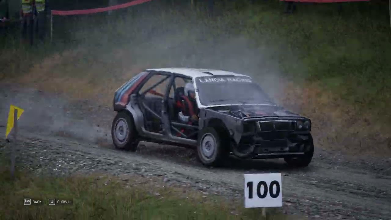 Assetto Corsa Rally EARLY ACCESS 