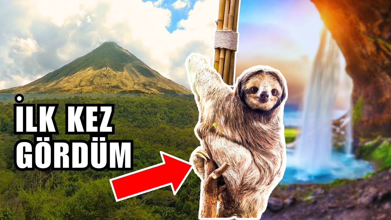 AKTİF YANARDAĞA TIRMANDIM | Kosta Rika Doğa Turu, Tembel Hayvanlar, La Fortuna Şelalesi