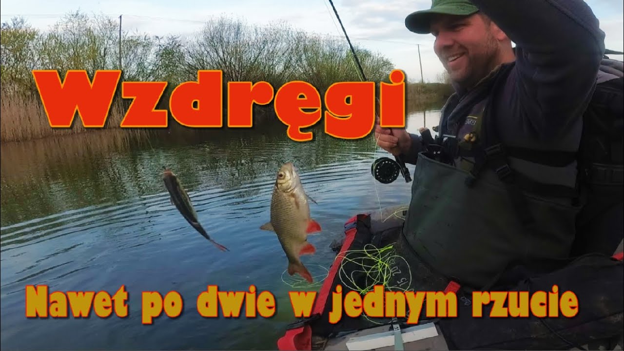 Wzdręgi na muchę