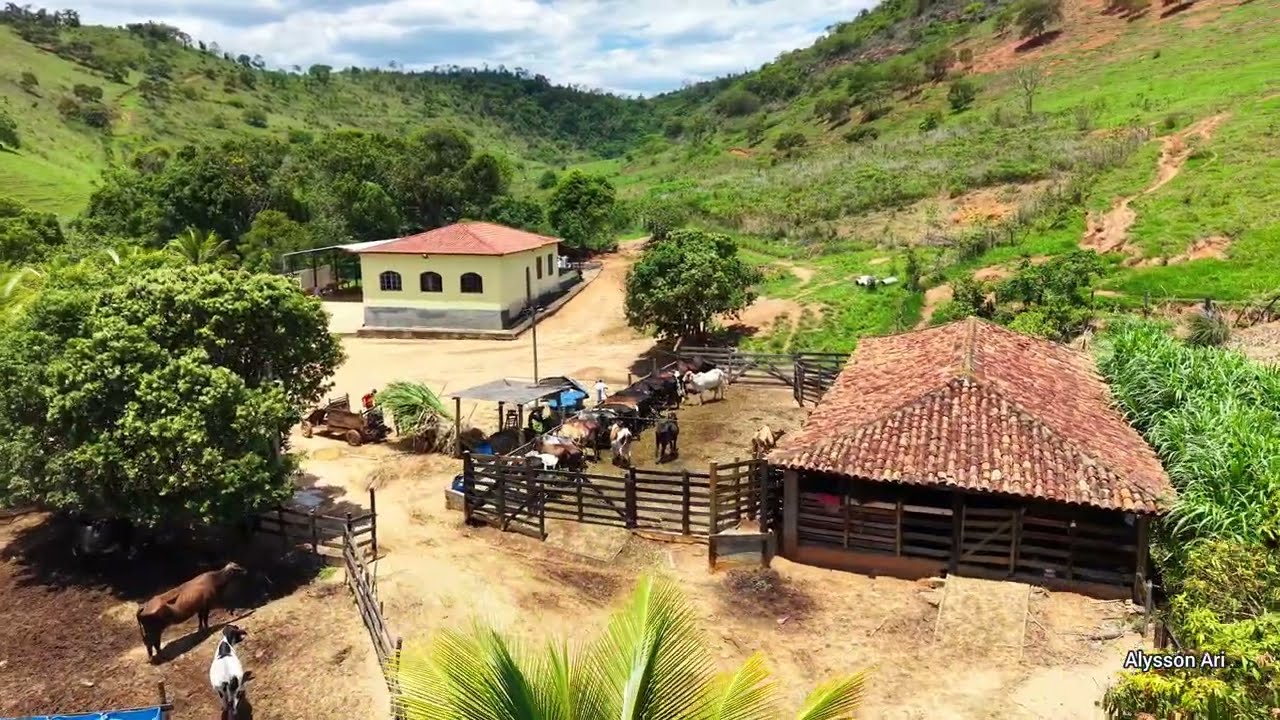Interior de Minas Gerais, Sapucaia de Caratinga, lugar abençoado...